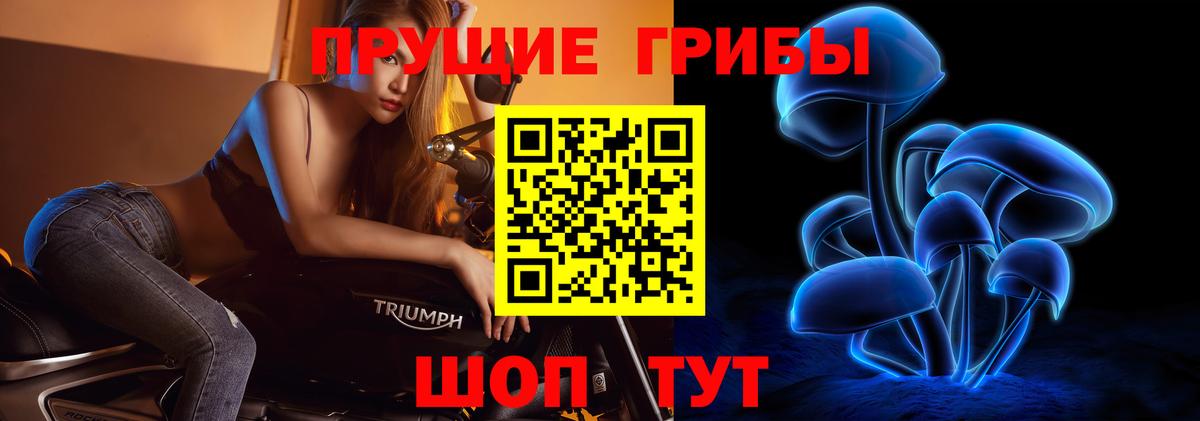 Анжеро-Судженск  Галлюциногенные грибы GOLDEN TEACHER  Псилоцибиновые грибы мицелий  Вход с VPN 