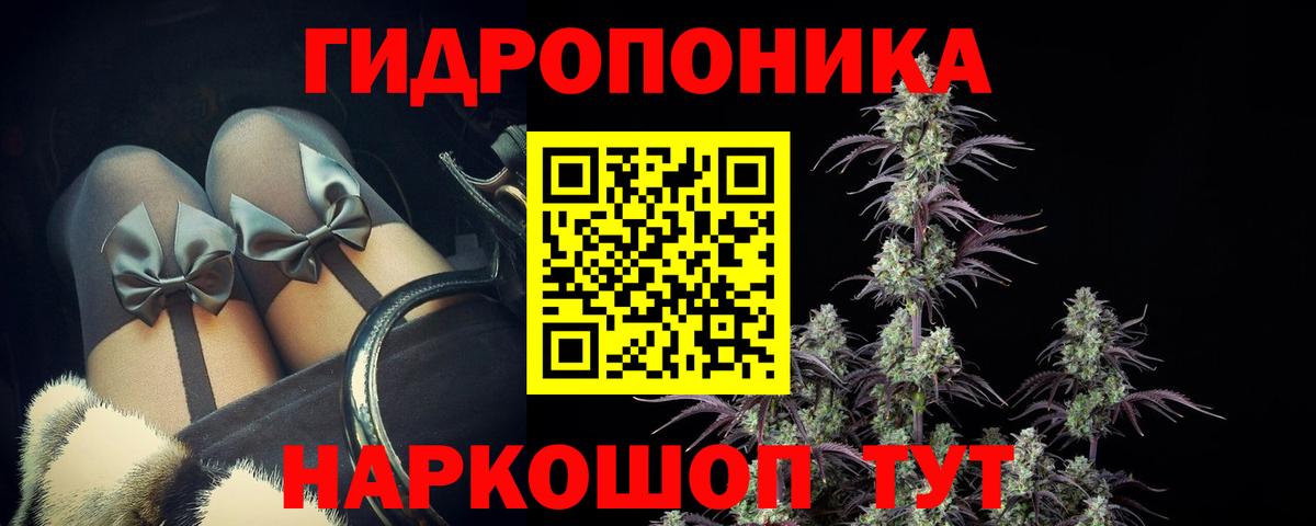 Каннабис конопля  МАРИХУАНА план  Канабис конопля  Анжеро-Судженск  Вход с VPN 