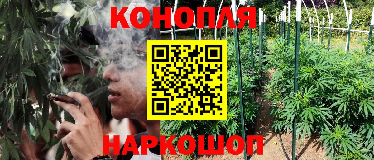 Бошки марихуана SATIVA & INDICA Анжеро-Судженск